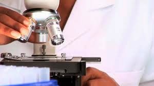 The Microscope In Cell Studies